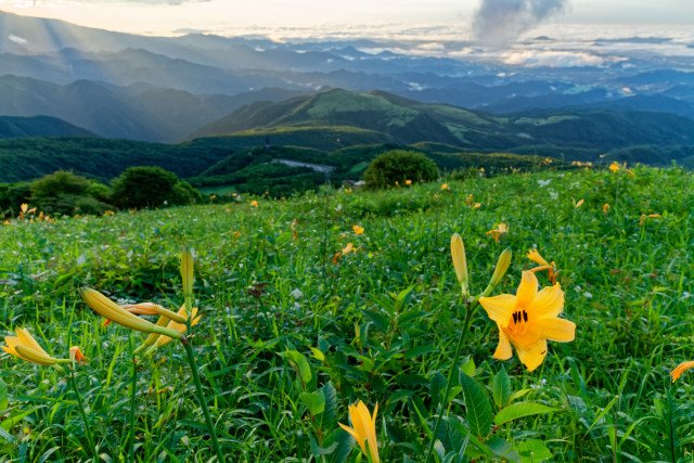 🏞️ 키스게 평원(키스게다이라엔치) 이미지 1